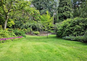Optimiser l'expérience du jardin à Sombrin